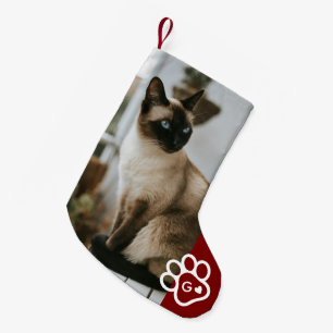 Petite Chaussette De Noël Ajoutez Votre Propre Photo Chat Animaux de Compagn