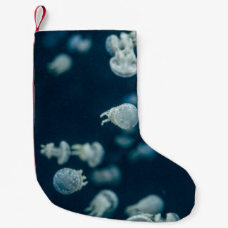 PETITE CHAUSSETTE DE NOËL AMIS