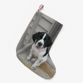 Petite Chaussette De Noël Amour d'indicateur (Devant (Accrochage))