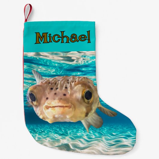 Petite Chaussette De Noël Amusant Poisson Poisson-Poisson-Poisson-Poisson-Pu (Devant)