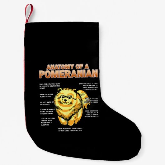 Petite Chaussette De Noël Anatomie d'un Poméranien (Devant)