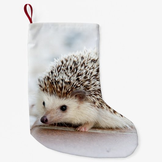 Petite Chaussette De Noël Animal mignon de hérisson de bébé (Devant)