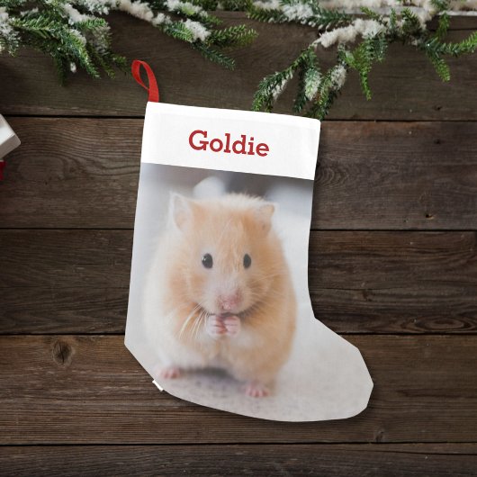 Petite Chaussette De Noël Animaux de compagnie Hamster Lover Photo & Nom Per