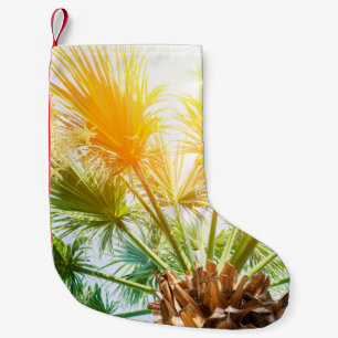 Petite Chaussette De Noël Arbre palmier soleil brillant arrière - plan d'été
