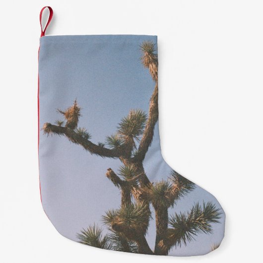 PETITE CHAUSSETTE DE NOËL ARBRE VERT ET BROWN SOUS LE CIEL BLEU (Devant)