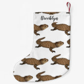 Petite Chaussette De Noël Armadillo girdled lizard (Dos)
