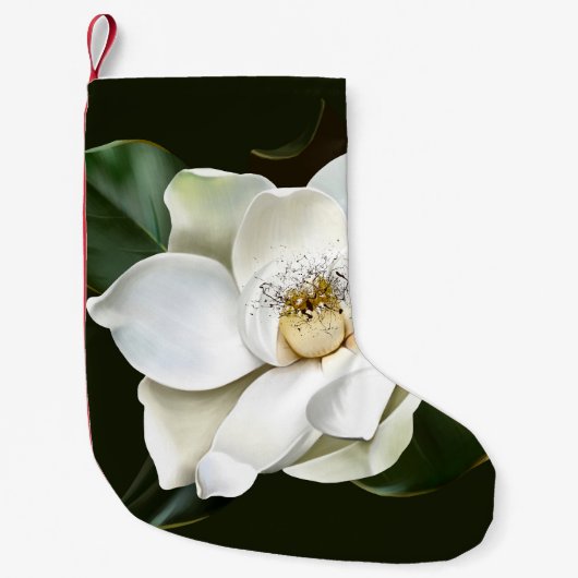 Petite Chaussette De Noël Arrière - plan blanc Magnolia Closeup Vert (Devant)