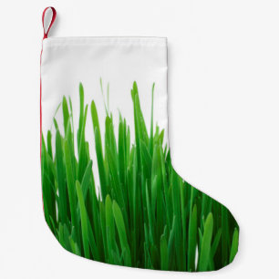 Petite Chaussette De Noël Arrière - plan fermer la flore fraîche