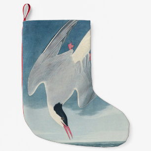 Petite Chaussette De Noël Art côtier vintage d'oiseau de mer Sterne arctique