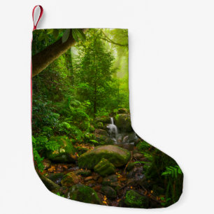 Petite Chaussette De Noël Asiatique tropicale jungle forestière, forêt, envi
