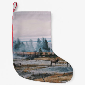 PETITE CHAUSSETTE DE NOËL AVANT LE COUCHER DE SOLEIL DANS LE PARC NATIONAL D