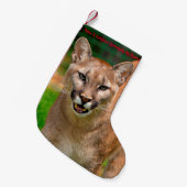 Petite Chaussette De Noël Avoir un Noël parfait (Devant (Accrochage))