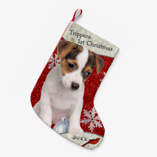 Petite Chaussette De Noël Bas adorable de Noël de chiot de Jack Russell