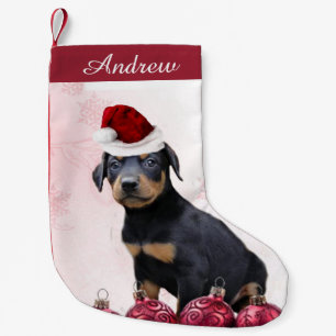 Petite Chaussette De Noël Bas de chiot de Pinscher de dobermann de Noël