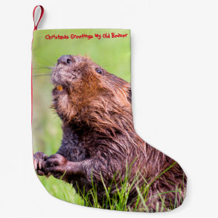 Petite Chaussette De Noël Bas de Noël Mon Vieux Castor