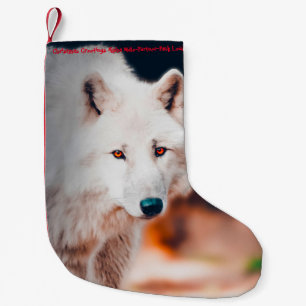 Petite Chaussette De Noël Bas de Noël Mon Vieux Castor
