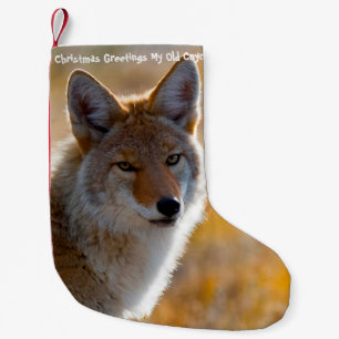 Petite Chaussette De Noël Bas de Noël Mon vieux coyote