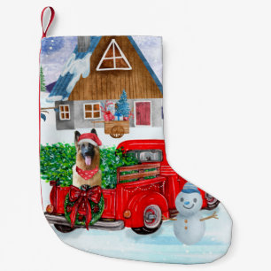 Petite Chaussette De Noël Berger Allemand dans un camion de livraison de Noë