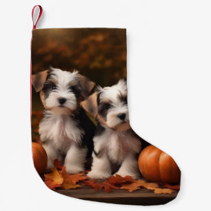 Petite Chaussette De Noël Biewer Terrier Chiot Automne Citrouille délice