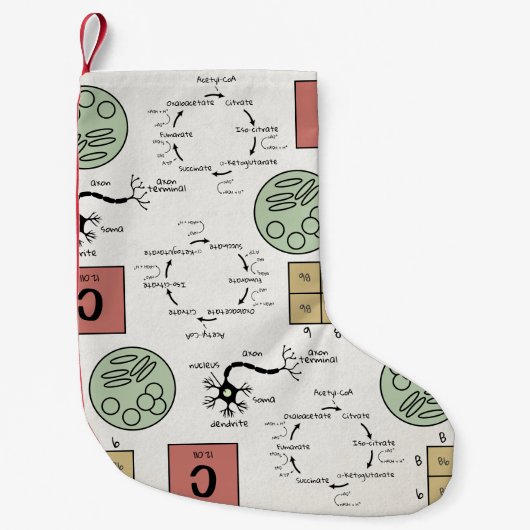Petite Chaussette De Noël Biologie Science Lab Enseignant École de cellules  (Devant)