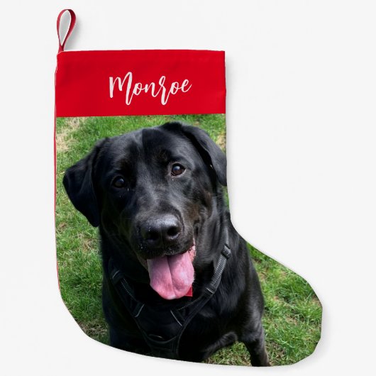 Petite Chaussette De Noël Black Lab Dog Personnalisé Animaux de Compagnie Ph (Devant)