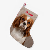 Petite Chaussette De Noël Blenheim Cavalier le roi Charles Spaniel (Devant (Accrochage))