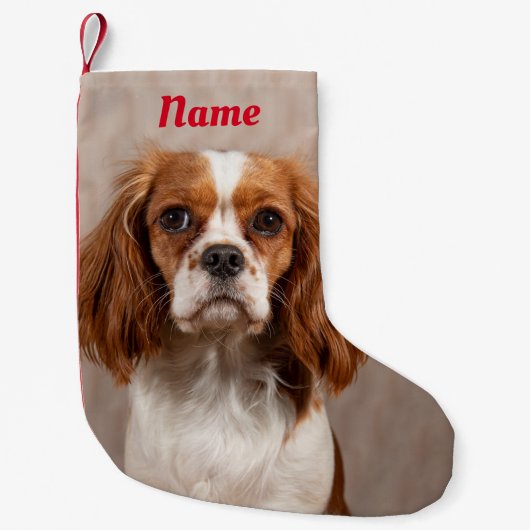 Petite Chaussette De Noël Blenheim Cavalier le roi Charles Spaniel (Devant)