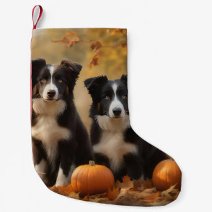Petite Chaussette De Noël Border Collie Jeune Automne Délice Citrouille
