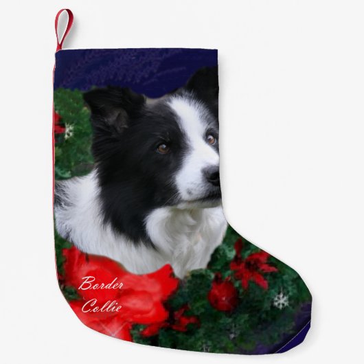 Petite Chaussette De Noël Bordure Collie Noël (Devant)