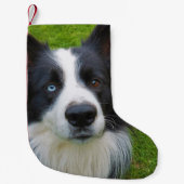Petite Chaussette De Noël Bordure Collie Petite réserve de Noël (Devant)