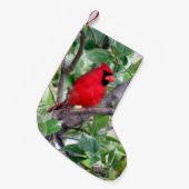 Petite Chaussette De Noël Cardinal dans un citronnier - Noël Stocker (Devant (Accrochage))