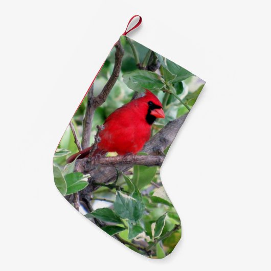 Petite Chaussette De Noël Cardinal dans un citronnier - Noël Stocker (Devant (Accrochage))