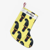 Petite Chaussette De Noël Caricature d'oiseau à queue rouge (Devant (Accrochage))