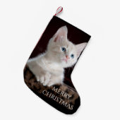 Petite Chaussette De Noël Cat Christmas Stocking. (Devant (Accrochage))