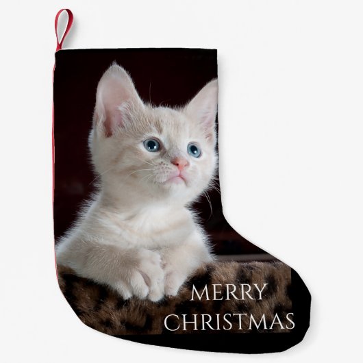 Petite Chaussette De Noël Cat Christmas Stocking. (Devant)