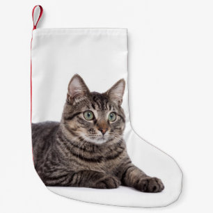 Petite Chaussette De Noël Chat