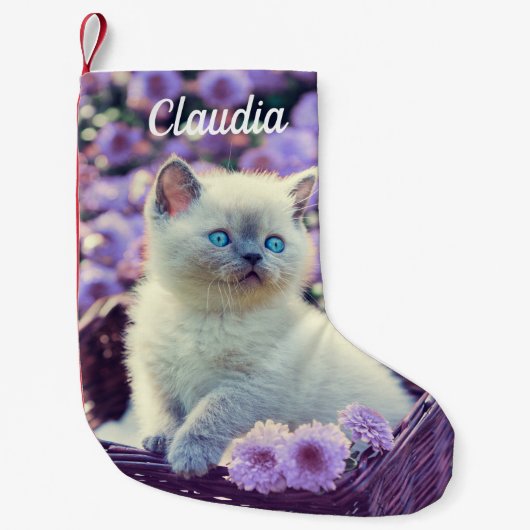 Petite Chaussette De Noël Chat Bébé Bleu Tiré Dans Panier Fleurs violettes (Devant)