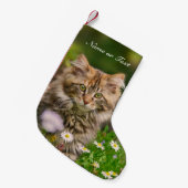 Petite Chaussette De Noël Chat mignon de chaton de ragondin du Maine - (Devant (Accrochage))