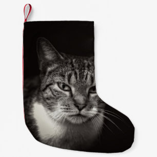 PETITE CHAUSSETTE DE NOËL CHAT TABLEAU D'ARGENT