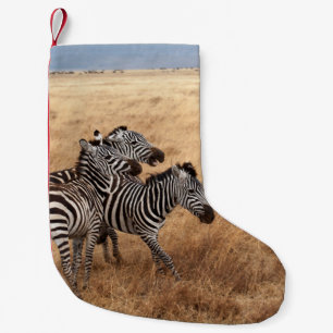 PETITE CHAUSSETTE DE NOËL CHEVAL RACE