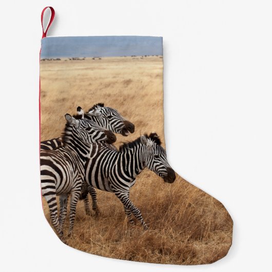 PETITE CHAUSSETTE DE NOËL CHEVAL RACE (Devant)