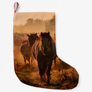 Petite Chaussette De Noël Chevaux sauvages : Rencontre intense avec le regar