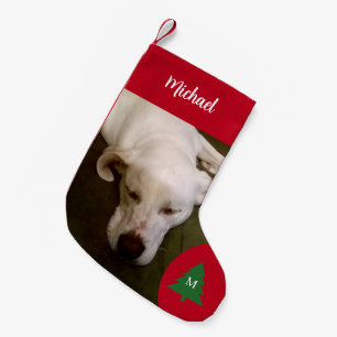 Petite Chaussette De Noël Chien blanc couché photo