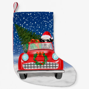 Petite Chaussette De Noël Chien Dalmatien Conduisant une Voiture dans la Nei