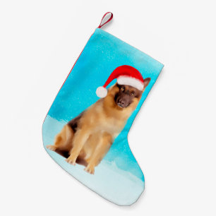 Petite Chaussette De Noël Chien De Berger Allemand Assis Dans Le Chapeau Du