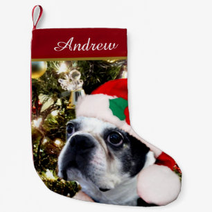 Petite Chaussette De Noël Chien de Boston Terrier de Noël