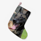 Petite Chaussette De Noël Chien de sourire de Malinois de Belge (Devant (Accrochage))