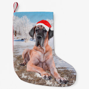 Petite Chaussette De Noël Chien Dogue Allemand Mignon Assis Dans La Neige Ch