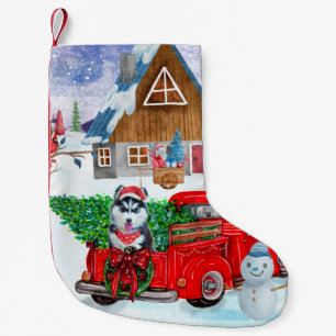 Petite Chaussette De Noël Chien Husky Sibérien dans un camion de livraison d