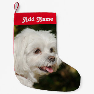 Petite Chaussette De Noël Chien maltais personnalisé - Prise en charge de N